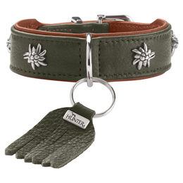 Hunter Hundehalsband München Leder grün/cognac Größe L 60 cm – Bild 1 von 4