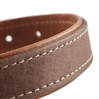 Produktbild von Hunter Hundehalsband Porto aus Leder in Braun Größe 60 cm