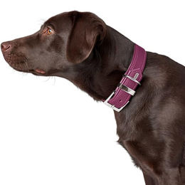 Hunter Hundehalsband Sofia Rot Kunstleder Größe M – Bild 1 von 2