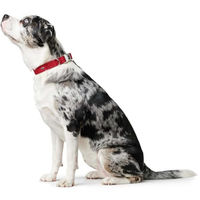 Produktbild von Hunter Hundehalsband Softie Alu-Strong aus Kunstleder rot Größe L
