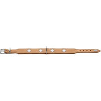 Produktbild von Hunter Hundehalsband Swiss aus Rindnappaleder natur/beige Größe S-M