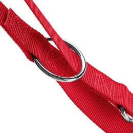 Produktbild von Hunter Hundeleine London verstellbar aus Polyester Schwarz 200 cm - 200 cm