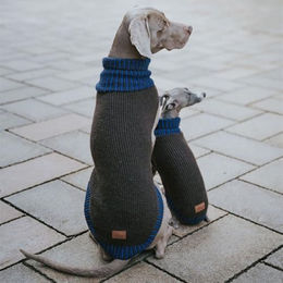 Hunter Hundepullover Odense Strickpullover Set mit Mütze Braun/Blau Größe 75 – Bild 1 von 3