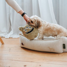Hunter Hundespielzeug Tough Monster Larry Plüsch mit Squeaker grün 23 cm – Bild 1 von 2
