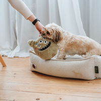 Produktbild von Hunter Hundespielzeug Tough Monster Larry Plüsch mit Squeaker grün 23 cm