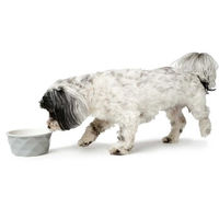 Produktbild von Hunter Keramik-Napf Eiby gelb für Welpen 550 ml - 0,55 l