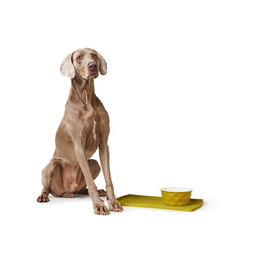 Hunter Napfunterlage Eiby aus Silikon Gelb 48 x 30 cm für Hunde – Bild 1 von 8
