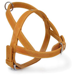 Produktbild von Hunter Norwegergeschirr aus Leder in Beige sand/sand wasserabweisend