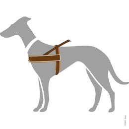 Hunter Norwegergeschirr Racing Hund Braun Größe M-L - 1 Stk. – Bild 1 von 3