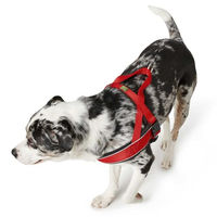 Produktbild von Hunter Norwegergeschirr Racing Hund Geschirr Schwarz Nylon Größe S