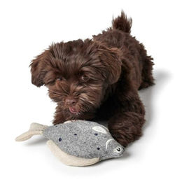 Hunter Plüschspielzeug Skagen Steinbutt für kleine Hunde grau 21 cm - 21 cm – Bild 1 von 6