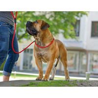 Produktbild von HUNTER Retriever-Hundeleine Freestyle Schwarz 170 cm aus wasserabweisendem Tau mit integrierter Halsung - 170 cm