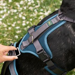 Hunter Sicherheitsgeschirr Maldon für Hunde mit Griff petrol grau Größe M – Bild 1 von 8