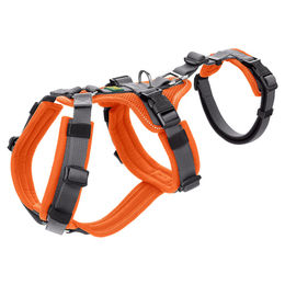 Hunter Sicherheitsgeschirr Maldon mit Griff für Hunde Orange Grau Größe XS – Bild 1 von 11