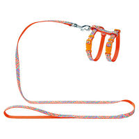 Produktbild von Hunter Smart Welpengarnitur aus Nylon mit Geschirr und Führleine Orange Bunt