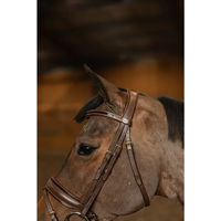 Produktbild von Hunter Trense HFI Edges aus Leder in Braun für Vollblut