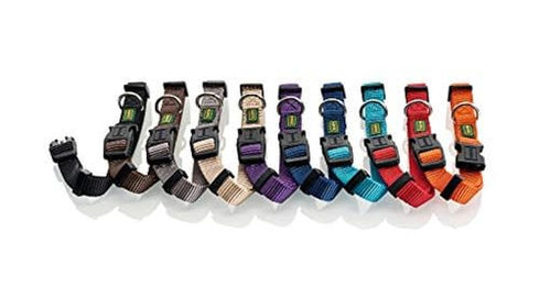 Hunter Vario Basic Hundehalsband aus Nylon in Petrol Größe S – Bild 1 von 2