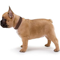 Produktbild von Hunter Vario Plus Hundehalsband aus Nylon Grau Größe L