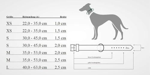 Produktbild von Hunter Vario-Plus Hundehalsband aus Nylon in Orange Größe L