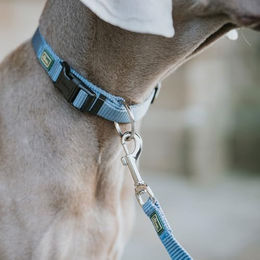 Hunter Vario Plus Hundehalsband aus Nylon in Rot Größe M-L – Bild 1 von 2