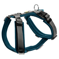 Produktbild von Hunter Y-Geschirr Maldon Mesh für Hunde Türkis/Grau Größe S-M