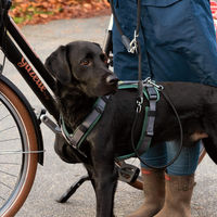 Produktbild von Hunter Y-Geschirr Maldon Up für Hunde Dunkelgrün/Grau Größe M aus Nylon