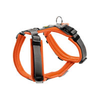 Produktbild von Hunter Y-Geschirr Mini aus Nylon in Maldon Orange Grösse XS 34-49 cm