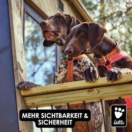Hurtta Casual Hundehalsband ECO aus Polyester in Rot 25-35 cm – Bild 1 von 3