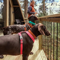 Produktbild von Hurtta Casual Y-Geschirr ECO Hundegeschirr aus Polyester in Ruby Rot 90-100 cm