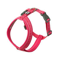 Produktbild von Hurtta Casual Y-Geschirr ECO Hundegeschirr Ruby Rot 50-60 cm