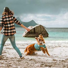 Hurtta Cooling Wrap Kühlweste für Hunde Aquamarin Blau Mikrofaser Größe L 65-75 cm – Bild 1 von 9