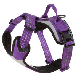 Produktbild von Hurtta Dazzle Sportgeschirr für Hunde in Lila mit Polyester-Material, Brustumfang 100 - 120 cm