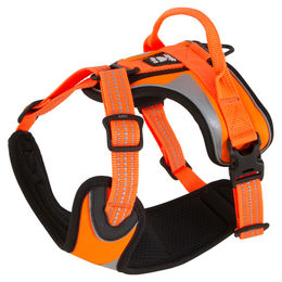 Produktbild von Hurtta Dazzle Sportgeschirr für Hunde Orange Brustumfang 100-120 cm