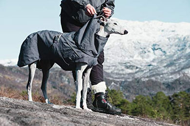 Hurtta Expedition Parka Wintermantel für Hunde Blackberry Schwarz 70 cm wasserdicht – Bild 1 von 8