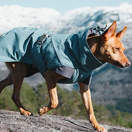 Hurtta Expedition Parka Wintermantel für Hunde Blau XL wasserdicht – Bild 1 von 3