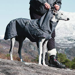 Hurtta Expedition Parka Wintermantel für Hunde wasserdicht Schwarz Grau Größe XL - 1 Stk. – Bild 1 von 3