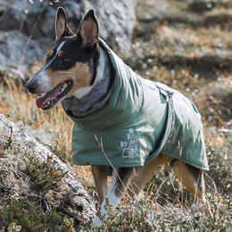 Hurtta Extreme ECO Warmer Hundemantel Winterjacke für Hunde wasserdicht Grün 25 cm - 1 Stk. – Bild 1 von 4