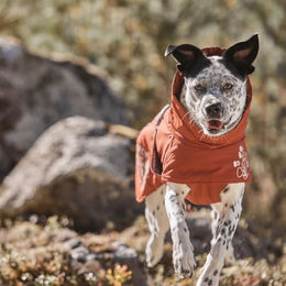 Produktbild von Hurtta Extreme Warmer Hundemantel Winterjacke Grau 45cm