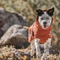 Produktbild von Hurtta Extreme Warmer Hundemantel Winterjacke Grau 45cm
