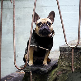 Hurtta Hundemantel Casual Steppjacke blau wasserabweisend Größe XL – Bild 1 von 4