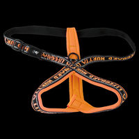 Produktbild von Hurtta Lifeguard Y-Geschirr für Hunde in Neonorange aus Neopren