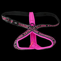 Produktbild von Hurtta Lifeguard Y-Geschirr für Hunde Neonpink Größe XL mit Neopren