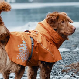 Hurtta Monsoon Hunderegenmantel wasserdicht mit Reflektoren Orange Größe M – Bild 1 von 4