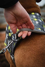 Hurtta Norwegergeschirr Hundegeschirr Grau Größe S wasserabweisend aus Polyester – Bild 1 von 5