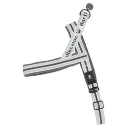 Produktbild von Hurtta Norwegergeschirr Mini Grau aus Neopren wasserdicht