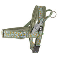 Produktbild von Hurtta Razzle Dazzle Norwegergeschirr für Hunde Grün Mittel Brustumfang 66-81,3 cm