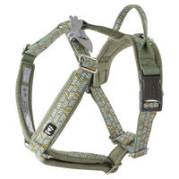 Produktbild von Hurtta Razzle Dazzle Y-Geschirr für Hunde Grün mit Edelstahl-Elementen Brustumfang 45-55 cm