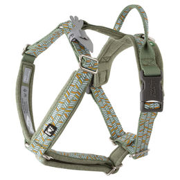 Produktbild von Hurtta Razzle Dazzle Y-Geschirr für Welpen in Grün mit Edelstahl-Elementen (Brustumfang 55 - 65 cm)