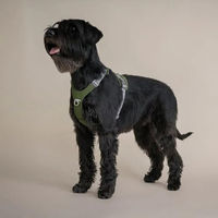 Produktbild von Hurtta Rover Hundegeschirr Orange 65-80 cm