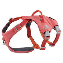 Produktbild von Hurtta Safeguard ECO Sicherheitsgeschirr für Hunde Strawberry Rot 45-60 cm